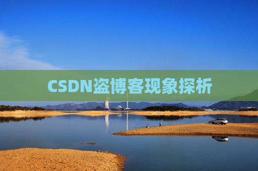 CSDN盗博客现象探析 CSDN盗博客现象探析